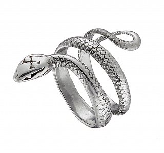 Δαχτυλίδι ατσάλι φίδι