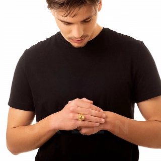 Δαχτυλίδι ανδρικό από ανοξείδωτο ατσάλι επιχρυσωμένος πάνθηρας με κόκκινα μάτια