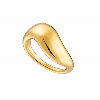 Oxzen ατσάλινο δαχτυλίδι bull