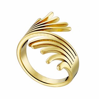 Δαχτυλίδι από ανοξείδωτο ατσάλι, λουστρέ με ιδιαίτερο σχήμα